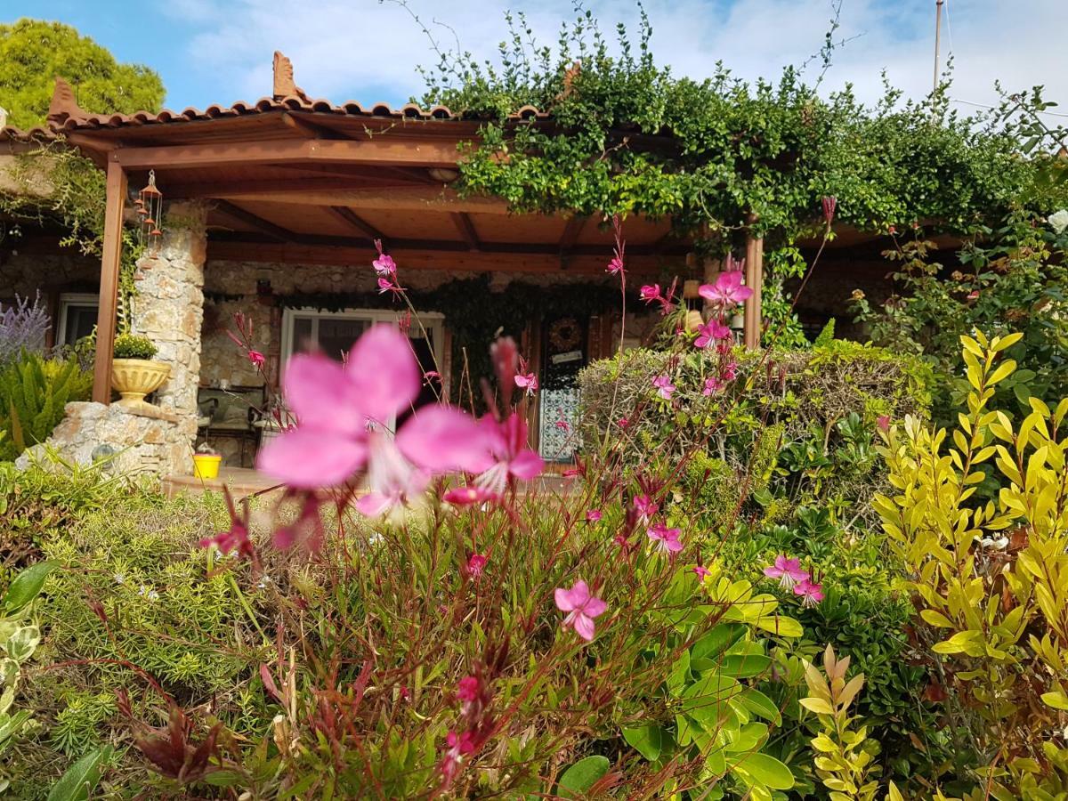 Nadia'S Traditional Greek House Anavyssos Buitenkant foto